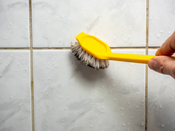 Best Professional Mold Removal  in Burlington, OH
