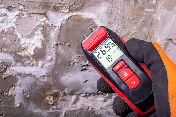 Best Office Mold Removal Services  in Burlington, OH