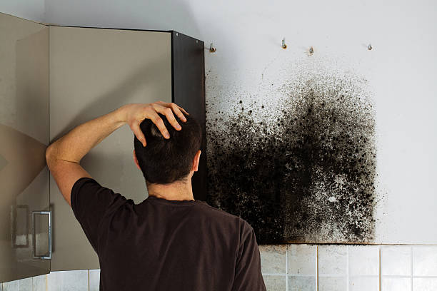 Crawl Space Mold Removal in Burlington, OH